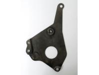 Image of Cam chain guide blade setting plate A